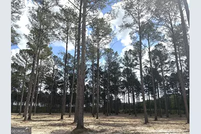 T1 Dc Hardie Road, Gordon, GA 31031 - Photo 1
