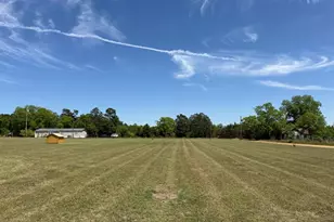 309 Ditch Rd, Arabi, GA 31712 - Photo 29