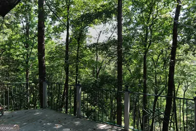177 Antler Drive, Thomaston, GA 30286 - Photo 47