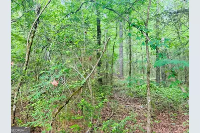 0 Wall Street, Tallassee, AL 36078 - Photo 5