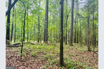 0 Wall Street, Tallassee, AL 36078 - Photo 13
