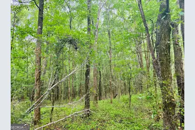 0 Wall Street, Tallassee, AL 36078 - Photo 9