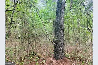 0 Wall Street, Tallassee, AL 36078 - Photo 3