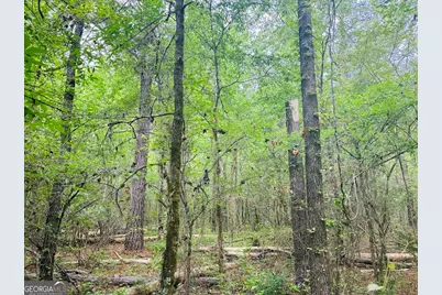 0 Wall Street, Tallassee, AL 36078 - Photo 7