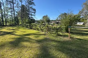 176 Niederriter Ln, Vidalia, GA 30474 - Photo 15