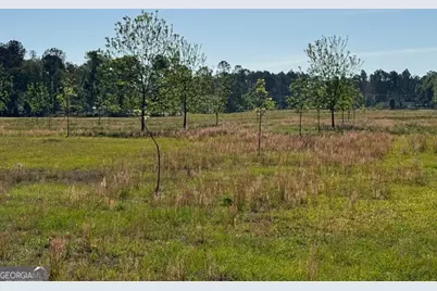 176 Niederriter Lane, Vidalia, GA 30474 - Photo 11