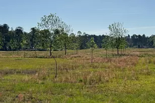 176 Niederriter Ln, Vidalia, GA 30474 - Photo 11