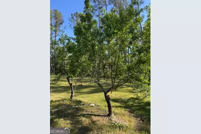 176 Niederriter Lane, Vidalia, GA 30474 - Photo 21