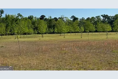 176 Niederriter Lane, Vidalia, GA 30474 - Photo 19