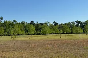 176 Niederriter Ln, Vidalia, GA 30474 - Photo 19
