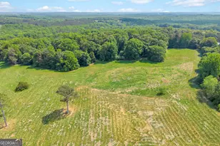740 Cromers Bridge Rd, Royston, GA 30662 - Photo 27