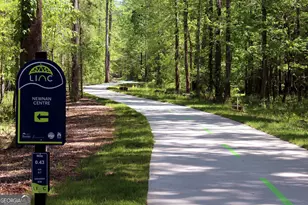 38 Remington Way, Newnan, GA 30263 - Photo 37