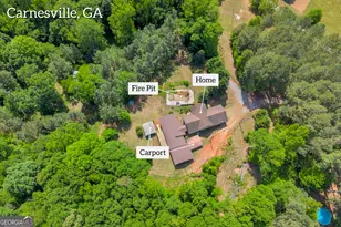 1894 Athens Rd, Carnesville, GA 30521 - Photo 33