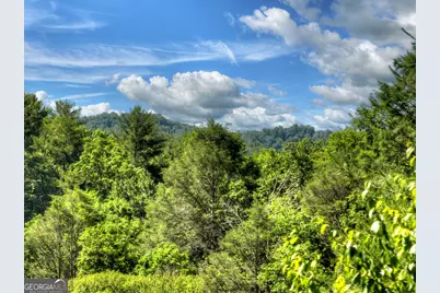 260 Down Under Road, Blue Ridge, GA 30513 - Photo 45