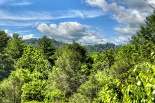 260 Down Under Rd, Blue Ridge, GA 30513 - Photo 45