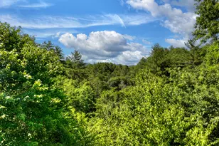 260 Down Under Rd, Blue Ridge, GA 30513 - Photo 43