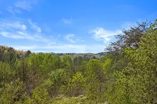 327 Dancing Trees Trail, Morganton, GA 30560 - Photo 15