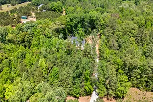 135 McKoy Rd, Newnan, GA 30263 - Photo 53