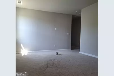 368 Amsterdam Way, Hampton, GA 30228 - Photo 17