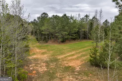 3912 US Highway 82, Morris, GA 39867 - Photo 61