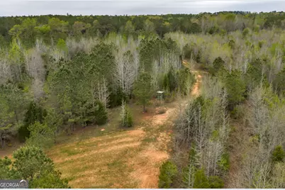 3912 US Highway 82, Morris, GA 39867 - Photo 17