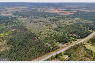 3912 US Highway 82, Morris, GA 39867 - Photo 5