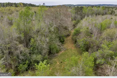 3912 US Highway 82, Morris, GA 39867 - Photo 27