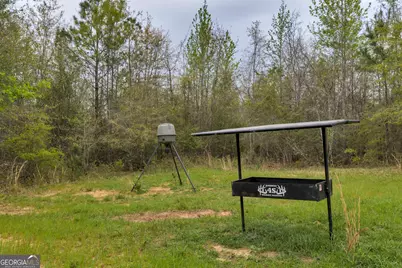 3912 US Highway 82, Morris, GA 39867 - Photo 51
