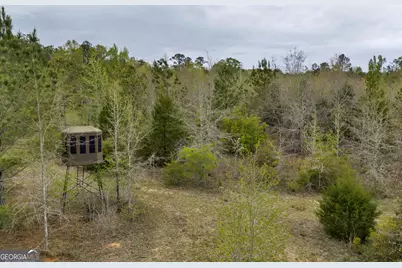 3912 US Highway 82, Morris, GA 39867 - Photo 57
