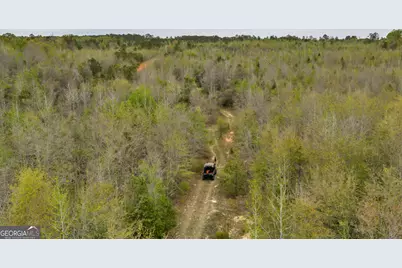 3912 US Highway 82, Morris, GA 39867 - Photo 21