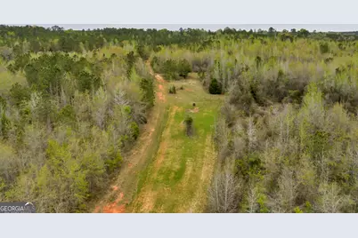3912 US Highway 82, Morris, GA 39867 - Photo 25