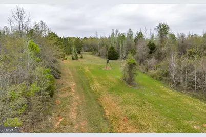 3912 US Highway 82, Morris, GA 39867 - Photo 49