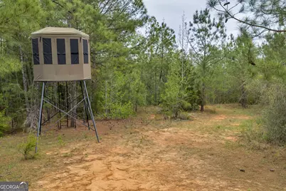 3912 US Highway 82, Morris, GA 39867 - Photo 65