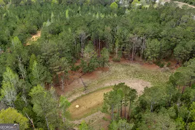 3912 US Highway 82, Morris, GA 39867 - Photo 37