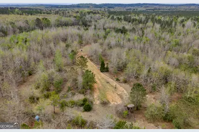 3912 US Highway 82, Morris, GA 39867 - Photo 29