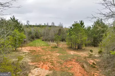 3912 US Highway 82, Morris, GA 39867 - Photo 45