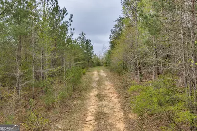 3912 US Highway 82, Morris, GA 39867 - Photo 55