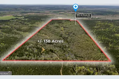 3912 US Highway 82, Morris, GA 39867 - Photo 3