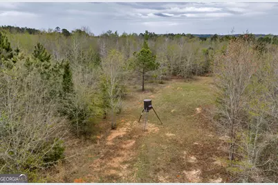 3912 US Highway 82, Morris, GA 39867 - Photo 31