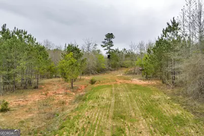 3912 US Highway 82, Morris, GA 39867 - Photo 47