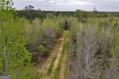 3912 US Highway 82, Morris, GA 39867 - Photo 41