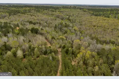 3912 US Highway 82, Morris, GA 39867 - Photo 15