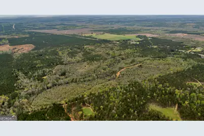 3912 US Highway 82, Morris, GA 39867 - Photo 13