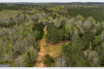 3912 US Highway 82, Morris, GA 39867 - Photo 19