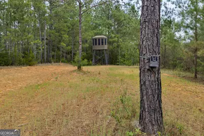 3912 US Highway 82, Morris, GA 39867 - Photo 63