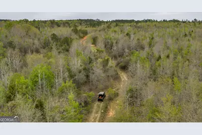 3912 US Highway 82, Morris, GA 39867 - Photo 23