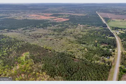 3912 US Highway 82, Morris, GA 39867 - Photo 7