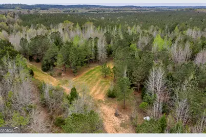 3912 US Highway 82, Morris, GA 39867 - Photo 33
