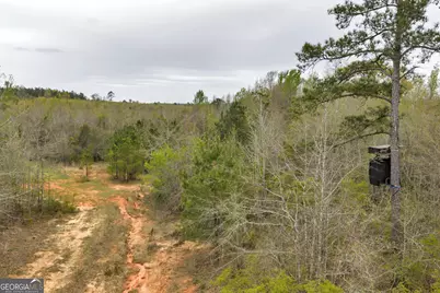 3912 US Highway 82, Morris, GA 39867 - Photo 43