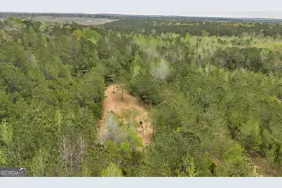 3912 US Highway 82, Morris, GA 39867 - Photo 35